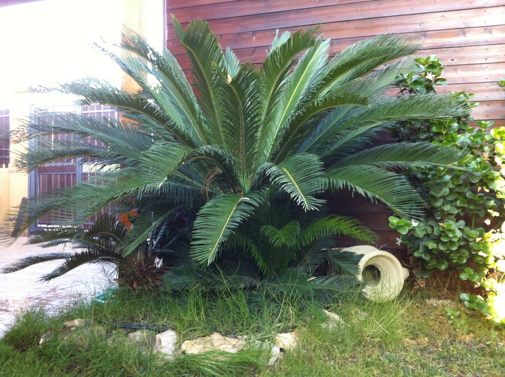 Villa Rosa Porto Empedocle Ruang foto